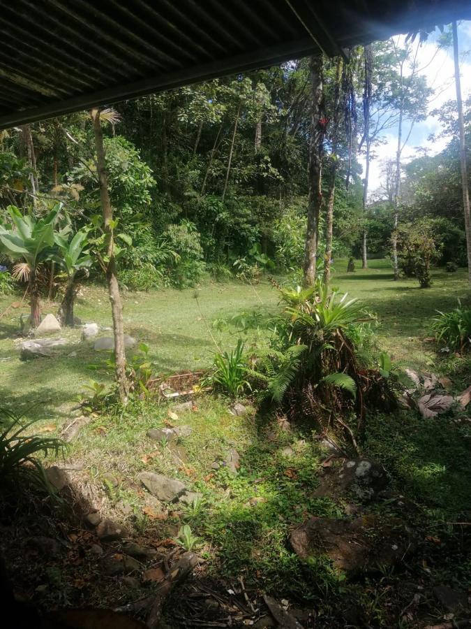 Apartmán Selvatica Del Toro Bajos del Toro Exteriér fotografie